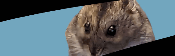 An image of Giuseppe.